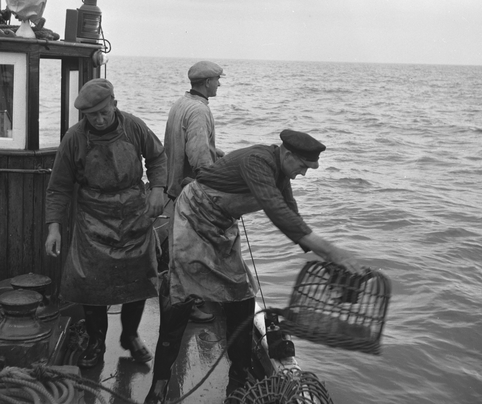 Rural Life in Llŷn and Eifionydd - Through the lens of Geoff Charles