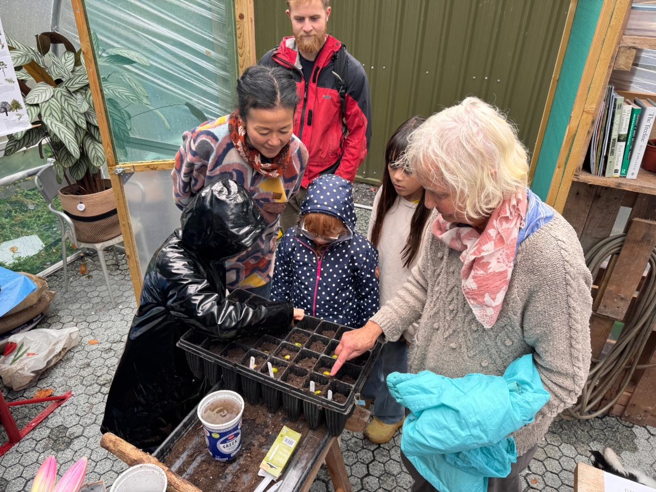 Yr Oriel Fyw: Seed Harvesting
