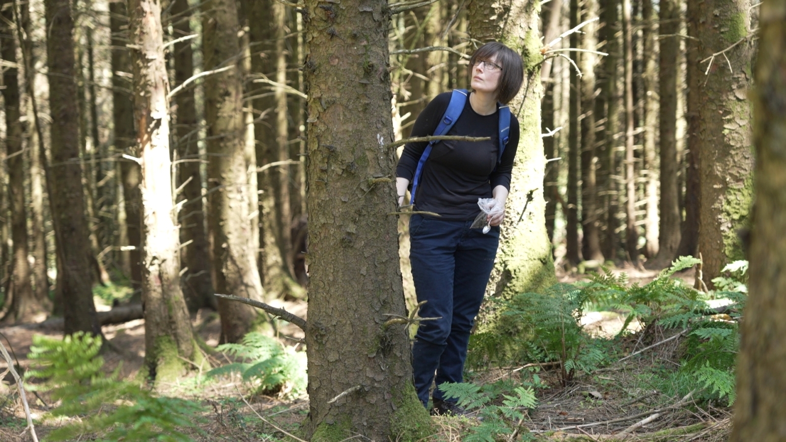 Deanne Doddington Mizen: Arddangosiad mewn Creu Pigmentau Naturiol a Thaith Gerdded