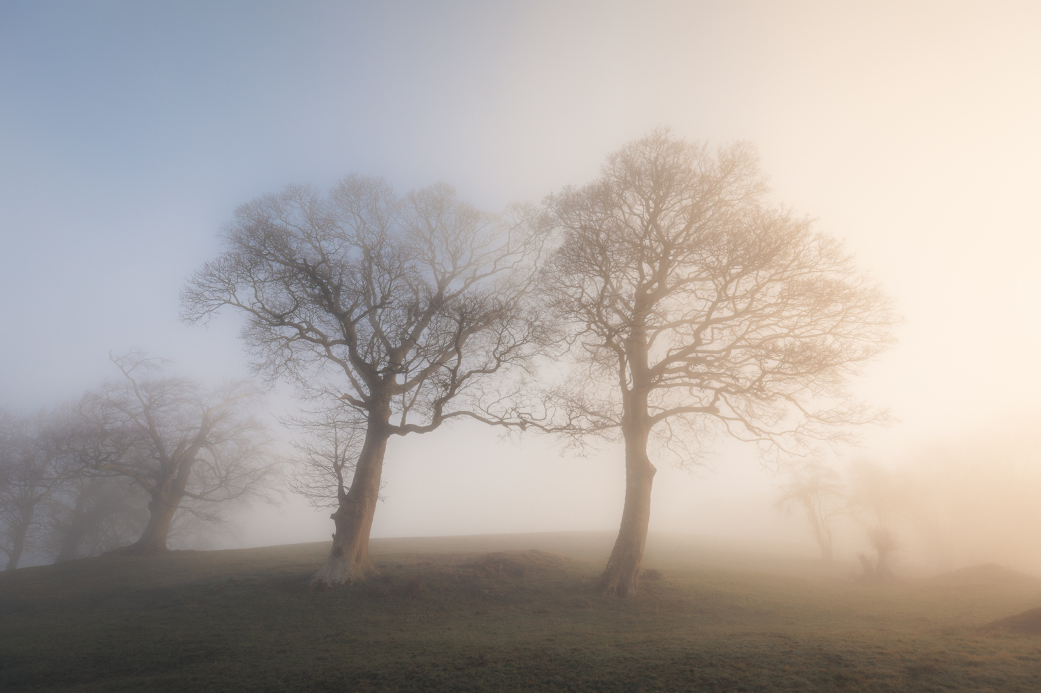 Brad Carr Talk - 1.30pm