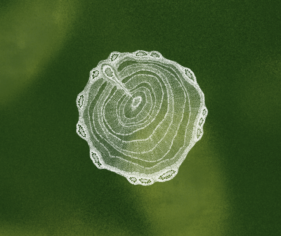 Arddangosfa i Ddod: Coed Coexist