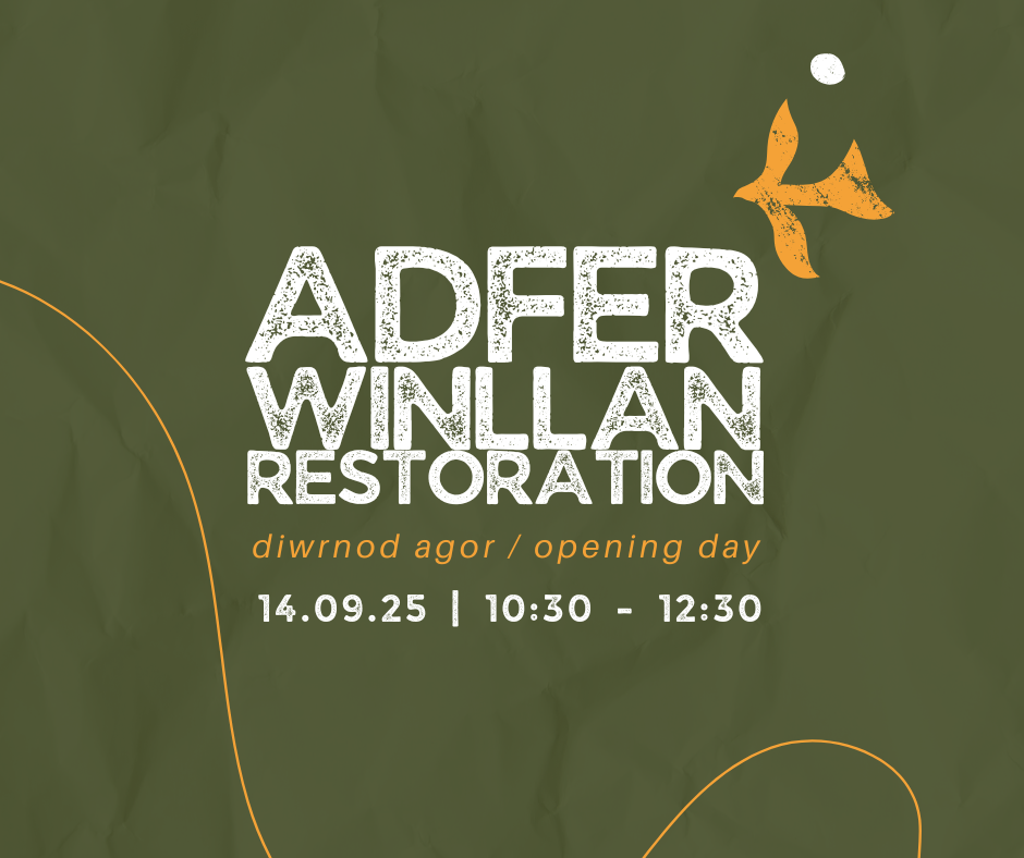 Yr Oriel Fyw / Winllan Restoration: Opening Day