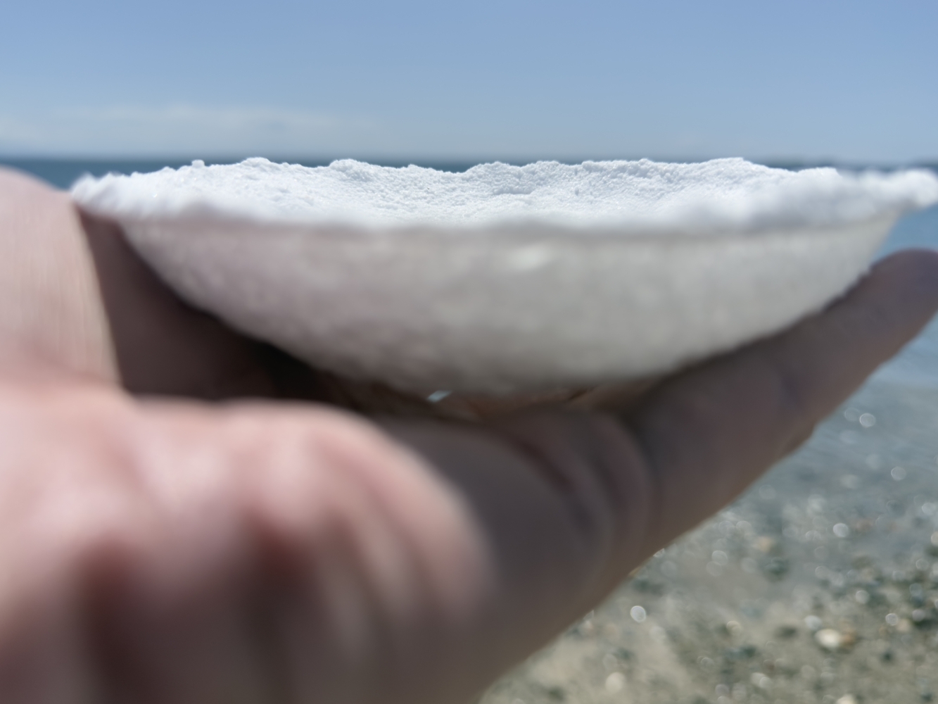 A gathering day - (To the) heart of the matter