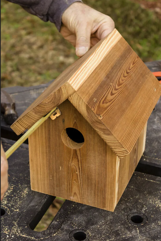 Bird Nest Box Session with Mark Empatage