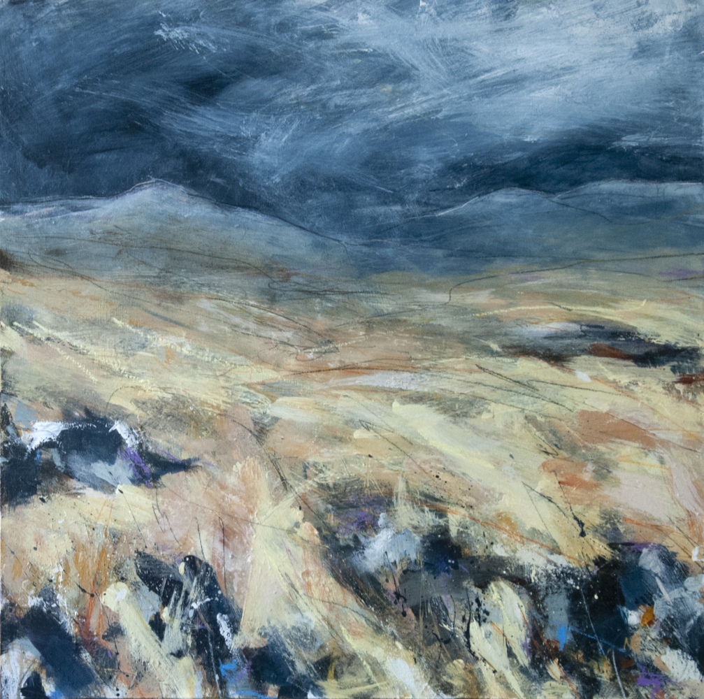 Arddangosfa Haf 2025