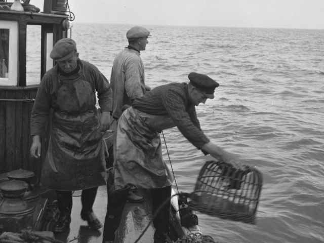 Rural Life in Llŷn and Eifionydd - Through the lens of Geoff Charles