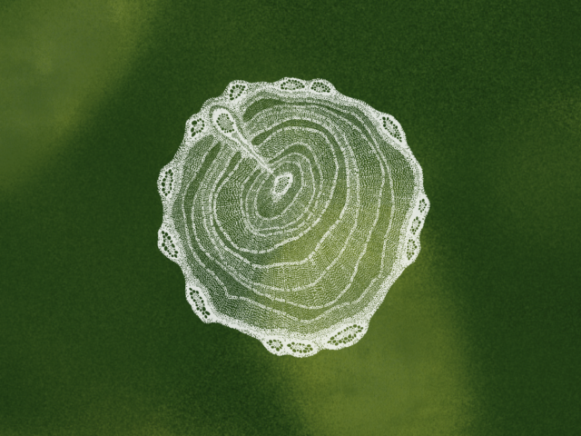 Arddangosfa i Ddod: Coed Coexist