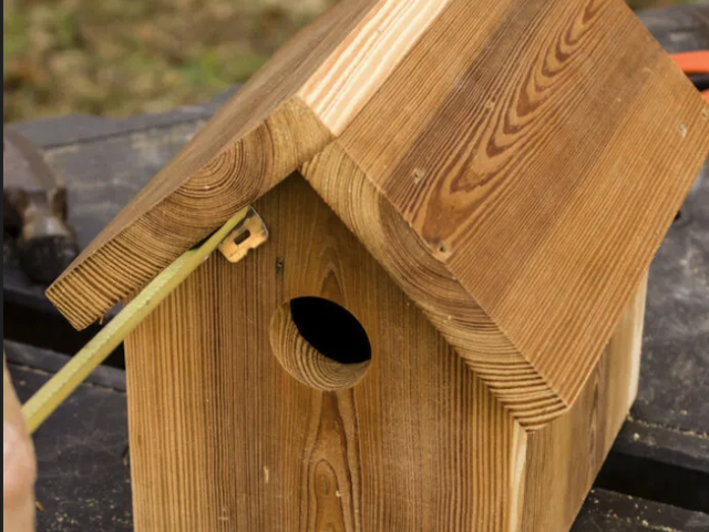 Bird Nest Box Session with Mark Empatage