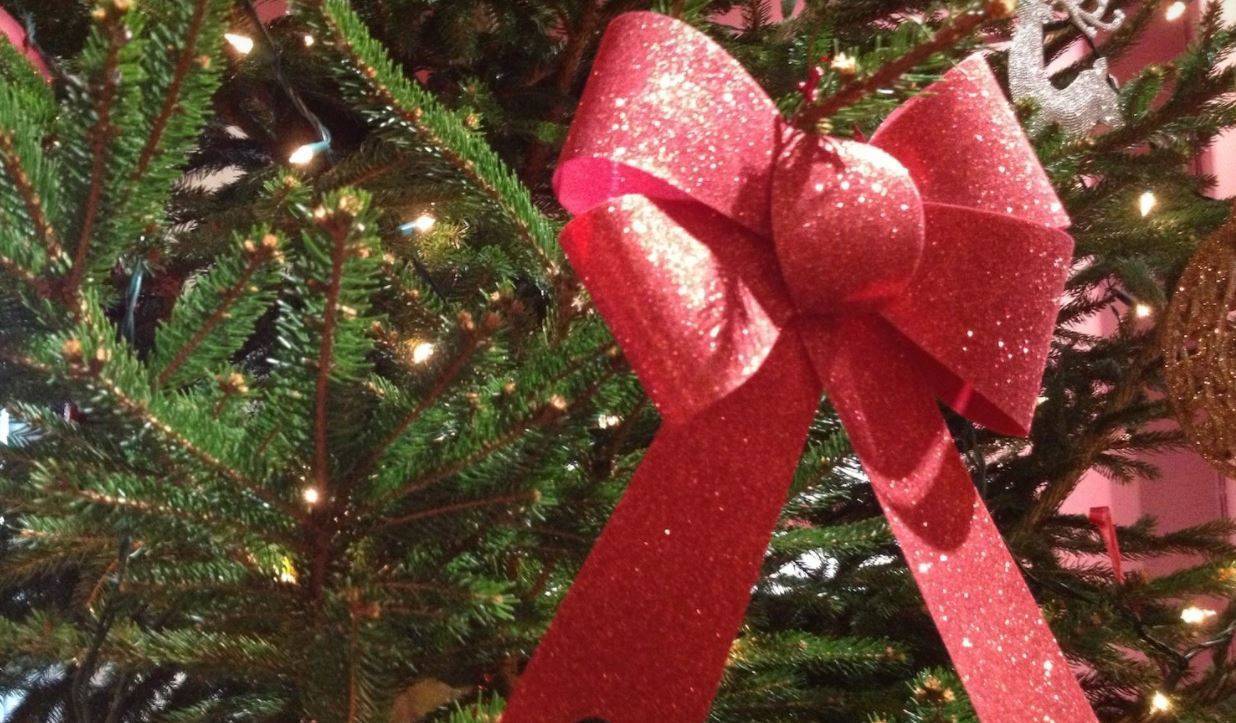 Cyngerdd Carolau Nadolig Cyfeillion