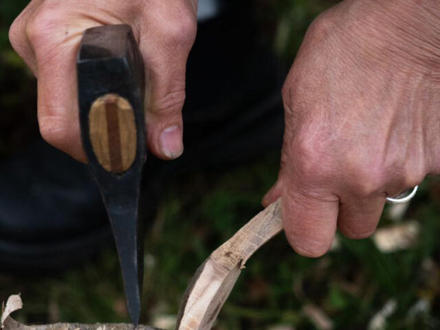 Galwad Agored Deunyddiau Coed Coexist Rwan ar Gau