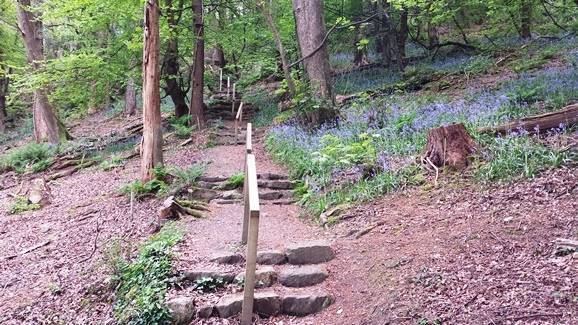 Winllan news May 2014