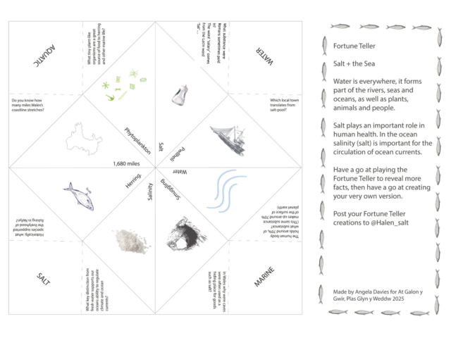 Salt + Sea Fortune Teller Activity