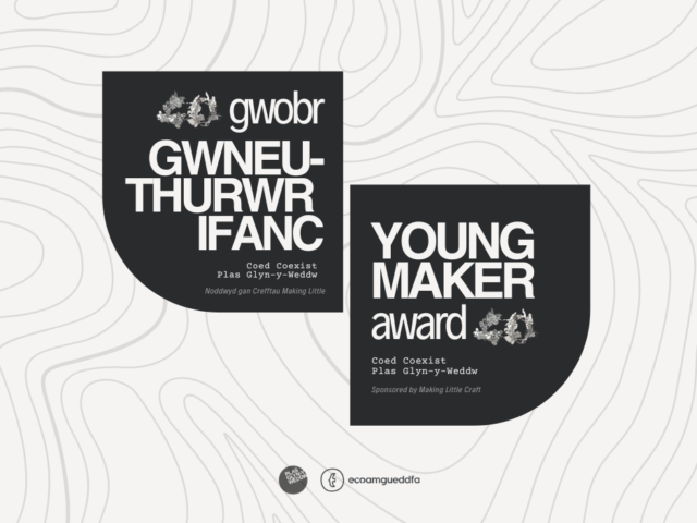 Young Maker Award: Gwion Peris Roberts