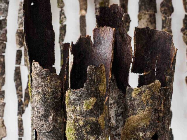 Commissioned Artists