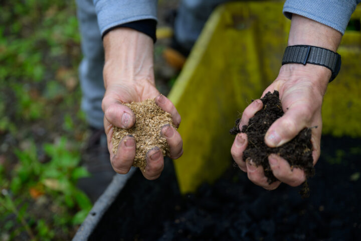 146 Coed Coexist swmposiwm symposium 2024 Plas Glyn y Weddw Ffoto Photo Gareth Jenkins Noddwyd gan Sponsored by Ecoamgueddfa Coed Coexist swmposiwm symposium 2024 Plas Glyn y Weddw Ffoto Photo Gareth Jenkins Noddwyd gan Sponsored by Ecoamgue