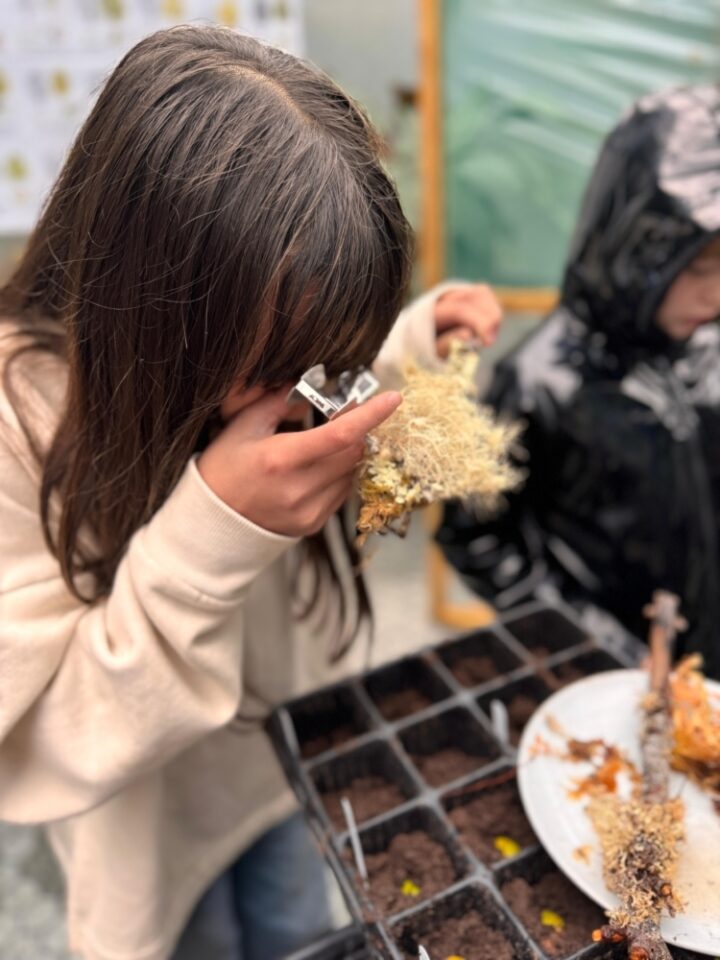 00f4b908 3bfe 47ef 8fac bd8d0612a23d 1