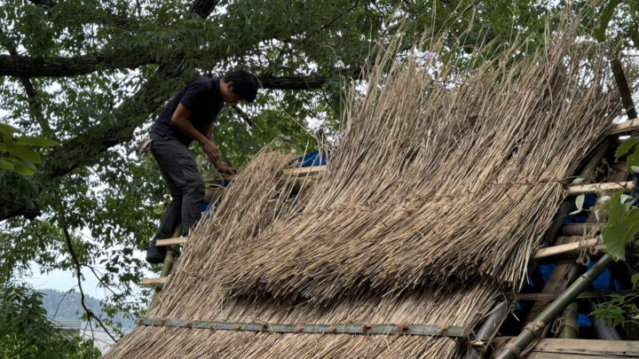 7 C3 AF703 FDF4 4 AE1 8 F3 C 128 D14 DF8196