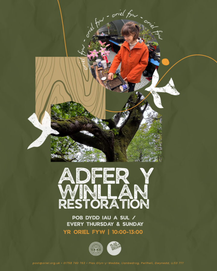 Copy of Oriel Fyw Poster