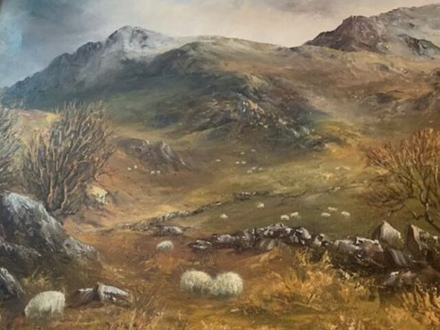 Bryniau Nantlle / Nantlle Hills