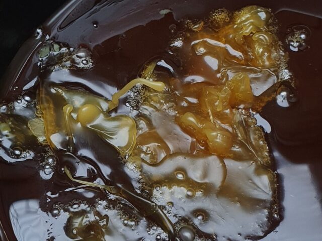 Toddi Resin Pinwydden