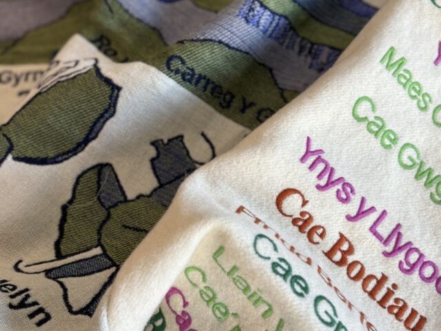 Anna Pritchard X Parc Cenedlaethol Eryri 'Carthenni Enwau Eryri'